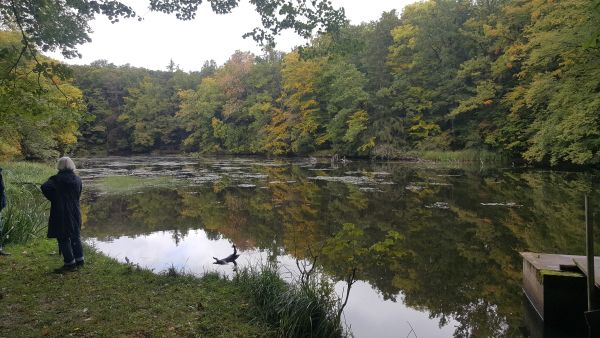 Die schwarze Lache hat wirklich dunkles Wasser