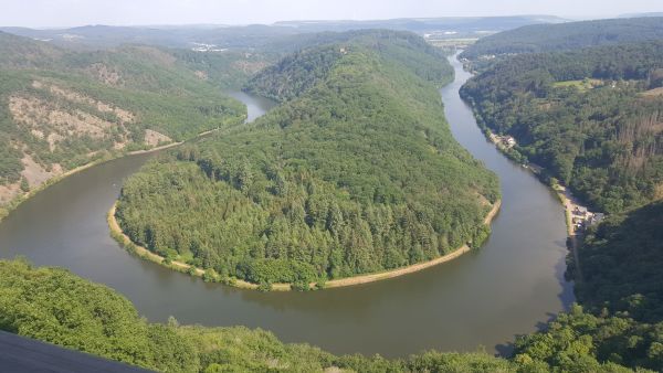 Der Ausblick vom Baumwipfelpfad über die Saarschleife beim disjährigen Jahresausflug
