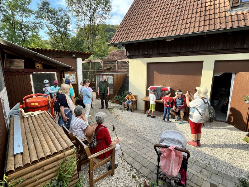 Angekommen bei der Falknerei wurden wir empfangen und konnten Greifvögel, Eulen und Uhus bestaunen