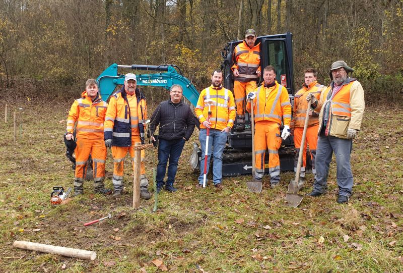 Gemeinsam mit dem Straßenbauamt Blaufelden wurden insgesamt sieben Bäume auf dem Grundstück des Vereins gepflanzt