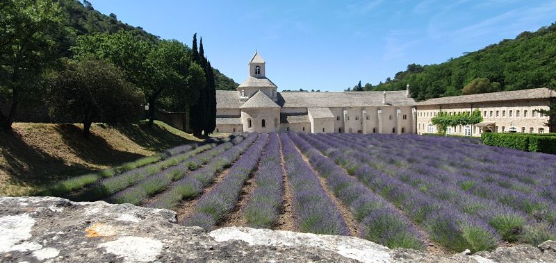 Abbaye de Sénanque – das berühmte Zisterzienserkloster in der Provence, umgeben von blühenden Lavendelfeldern