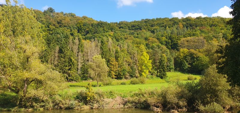 Das Wetter war herrlich für unsere diesjährige Vereinswanderung