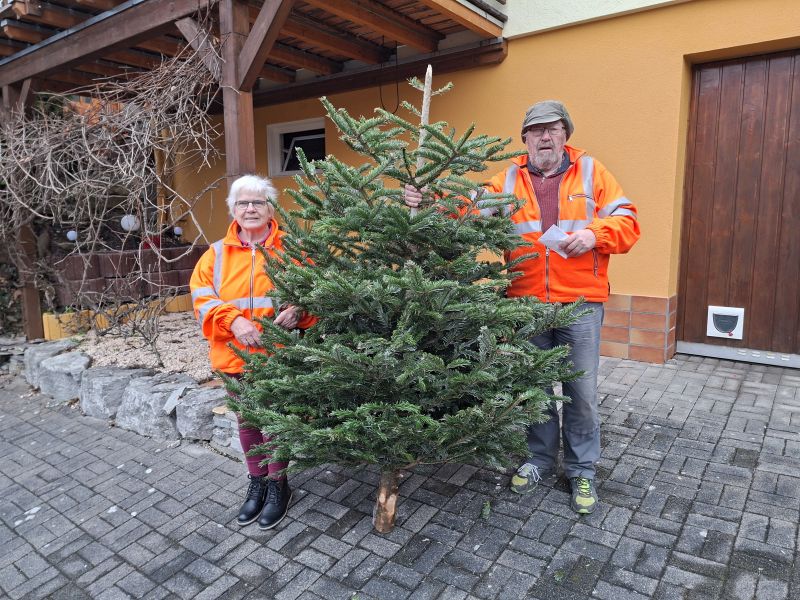 Auch dieses Jahr wurden die abgeschmückten Christbäume der Langenburger durch den Heimatvogelschutz Langenburg e.V. eingesammelt