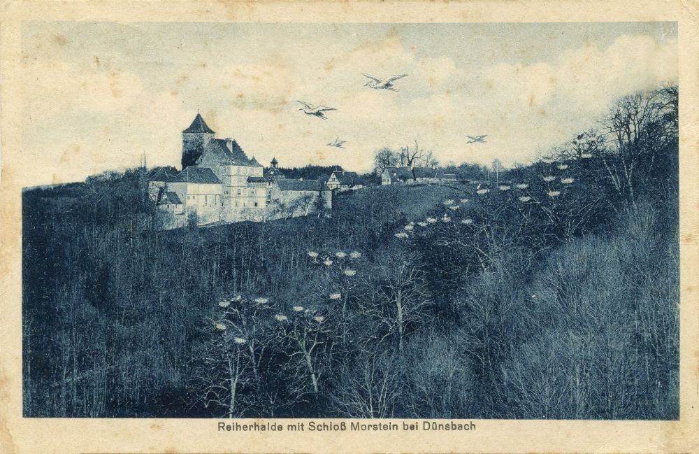 Abb. 2: Reiherhalde mit Schloss Morstein bei Dünsbach. W. Klemm, Hofphotograph, Schwäbisch Hall. Postkarte, gel.1919